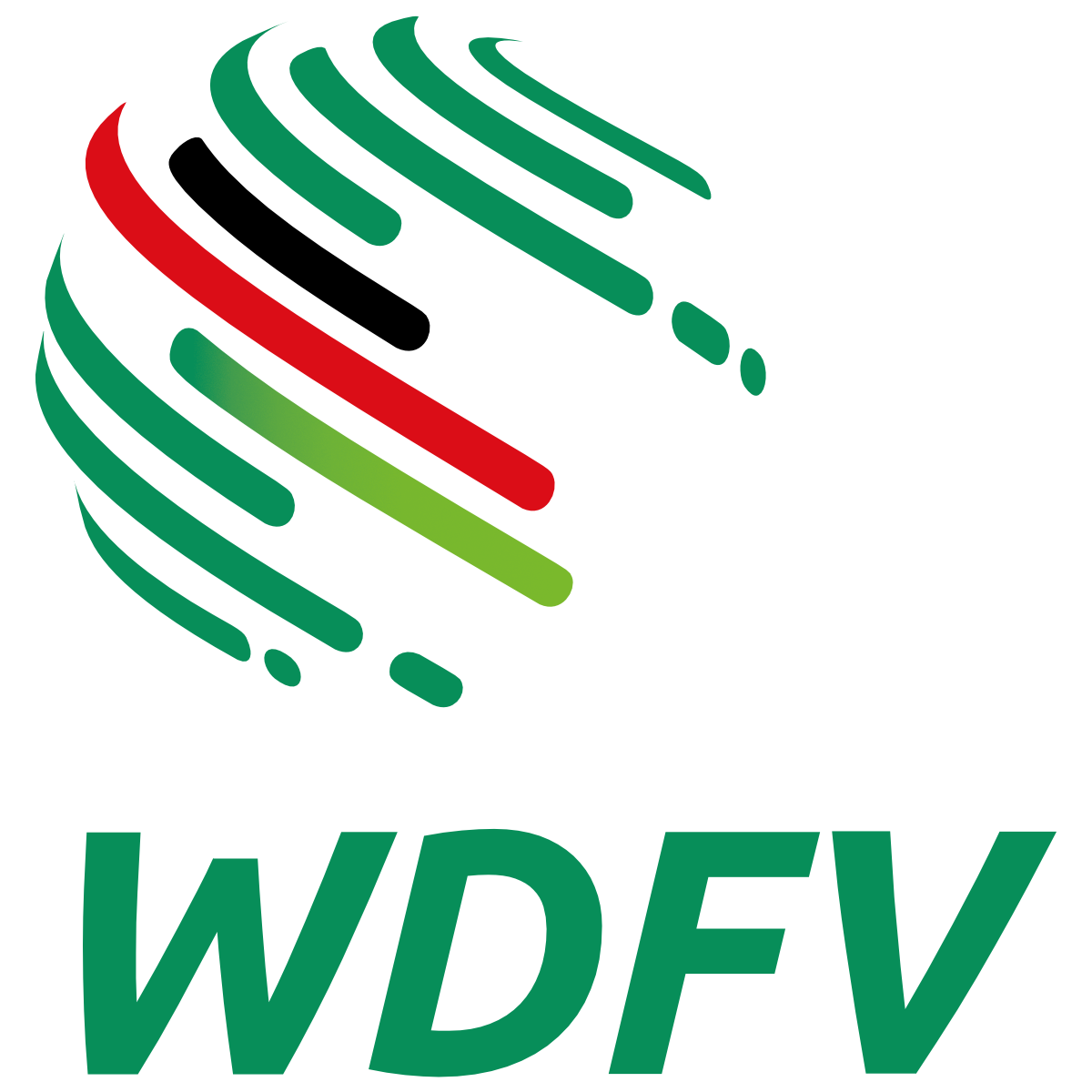 wdfv logo rgb